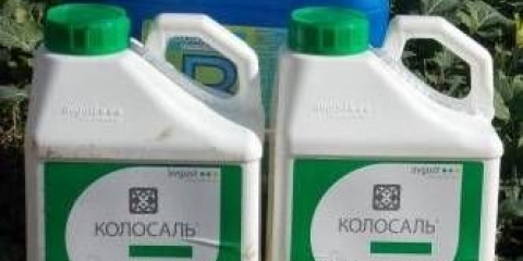 Fungicid colossal pro